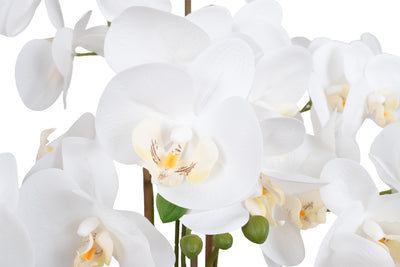 Orhidee artificiala alba cu aspect natural H71 cm cu 6 tulpini