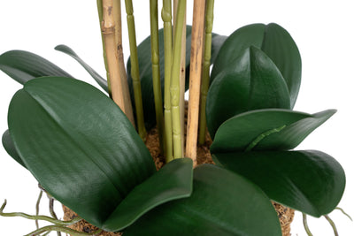 Orhidee artificiala alba cu aspect natural H71 cm cu 6 tulpini