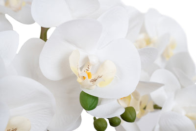 Orhidee artificiala alba cu aspect natural H71 cm cu 6 tulpini