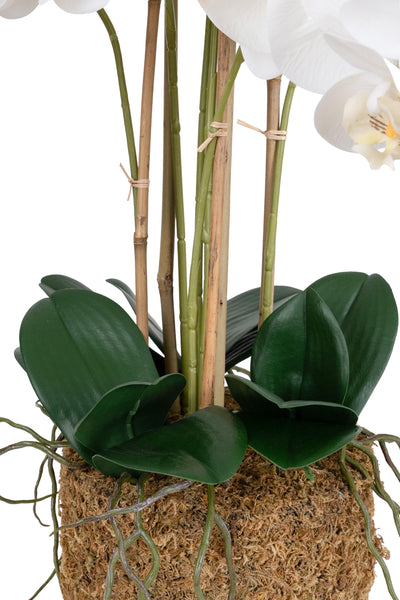 Orhidee artificiala alba cu aspect natural H71 cm cu 6 tulpini