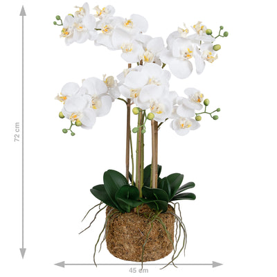 Orhidee artificiala alba cu aspect natural H72 cm cu 6 tulpini