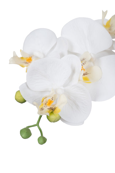 Orhidee artificiala alba cu aspect natural H72 cm cu 6 tulpini
