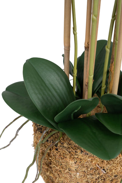 Orhidee artificiala alba cu aspect natural H72 cm cu 6 tulpini
