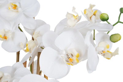 Orhidee artificiala alba cu aspect natural H72 cm cu 6 tulpini