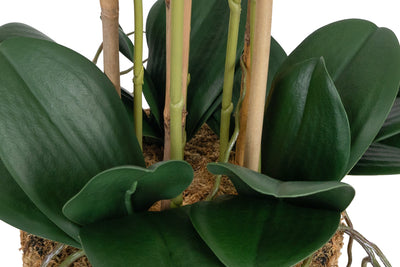 Orhidee artificiala alba cu aspect natural H72 cm cu 6 tulpini