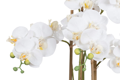 Orhidee artificiala alba cu aspect natural H72 cm cu 6 tulpini