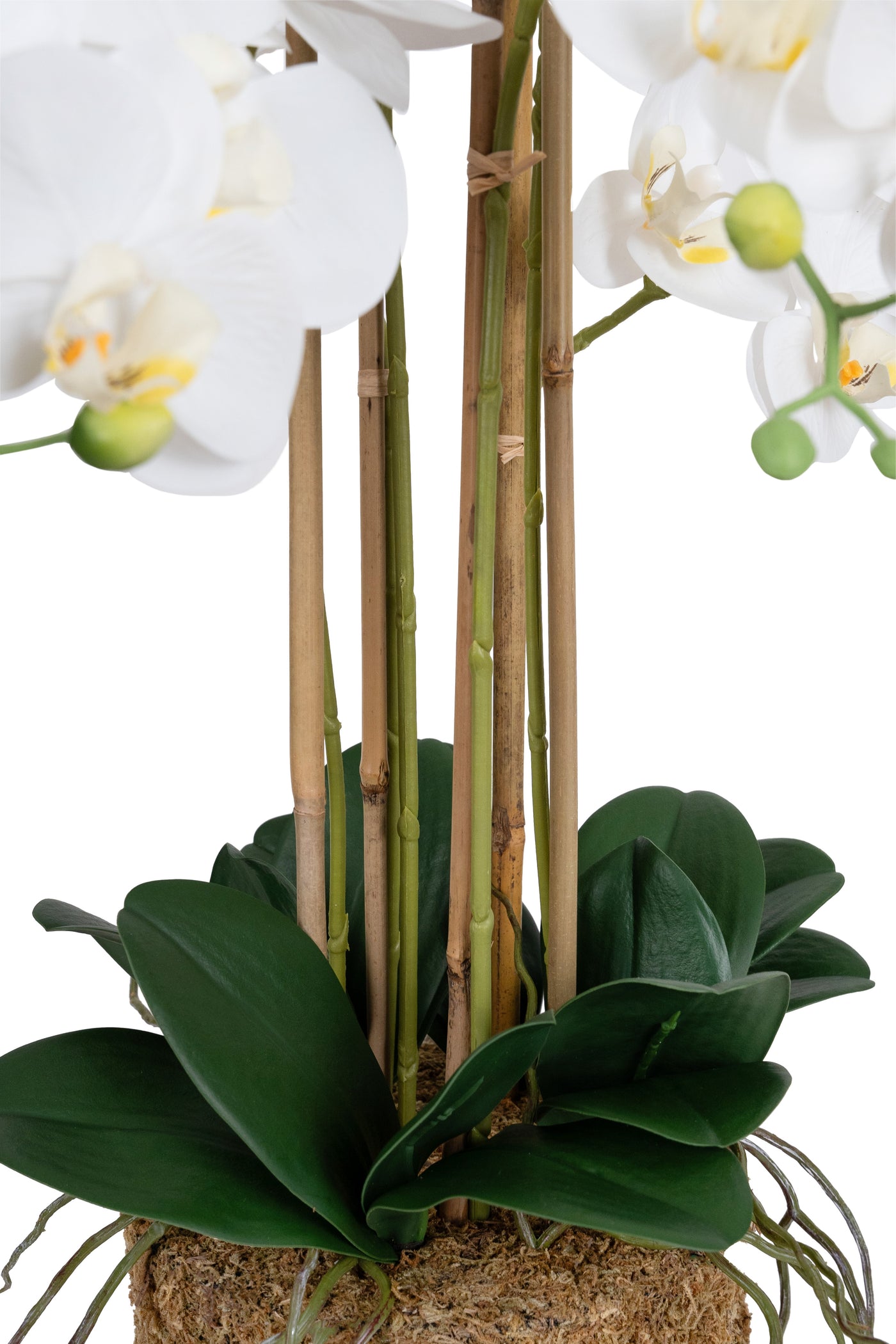 Orhidee artificiala alba cu aspect natural H72 cm cu 6 tulpini