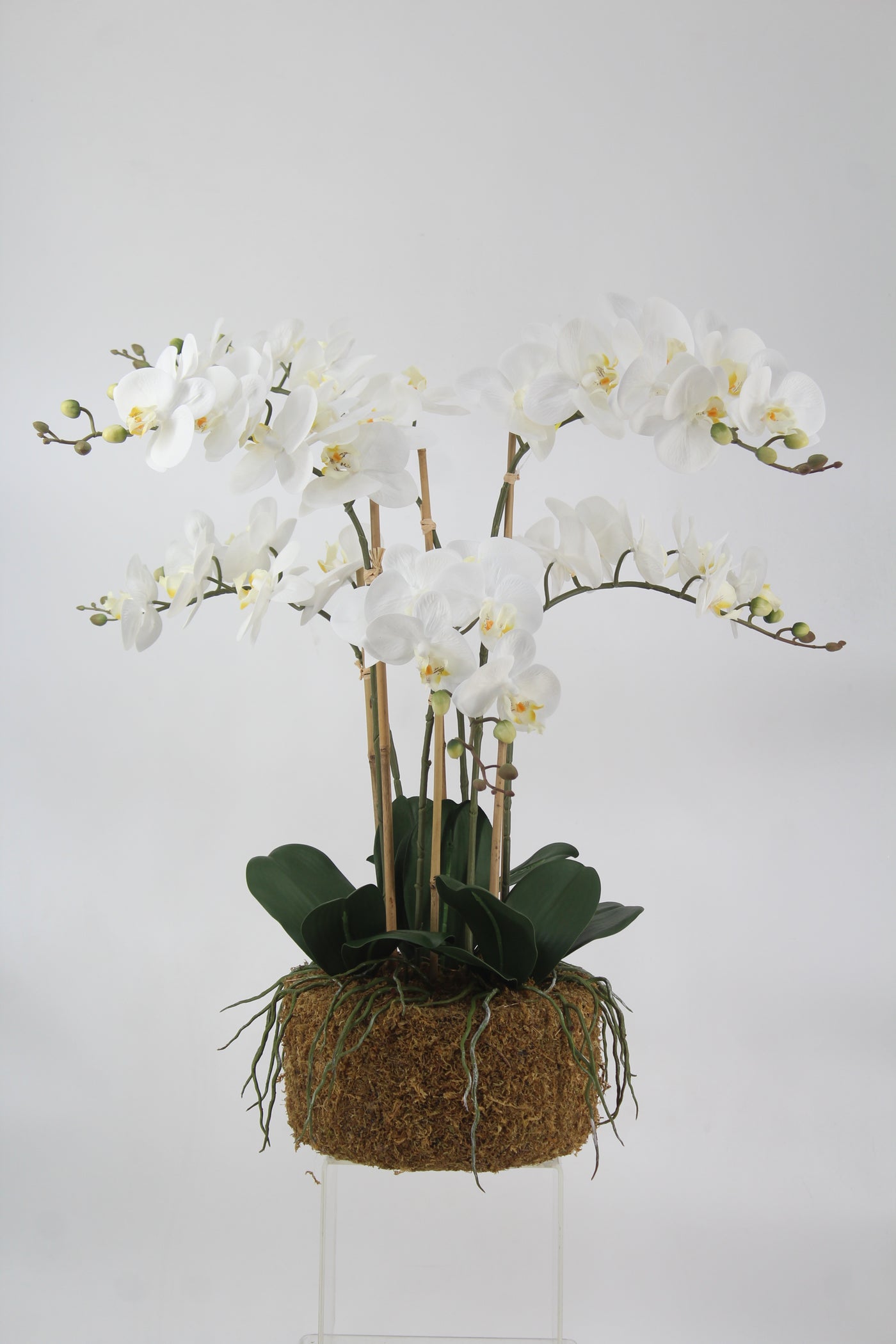 Orhidee artificiala alba cu aspect natural H72 cm cu 6 tulpini