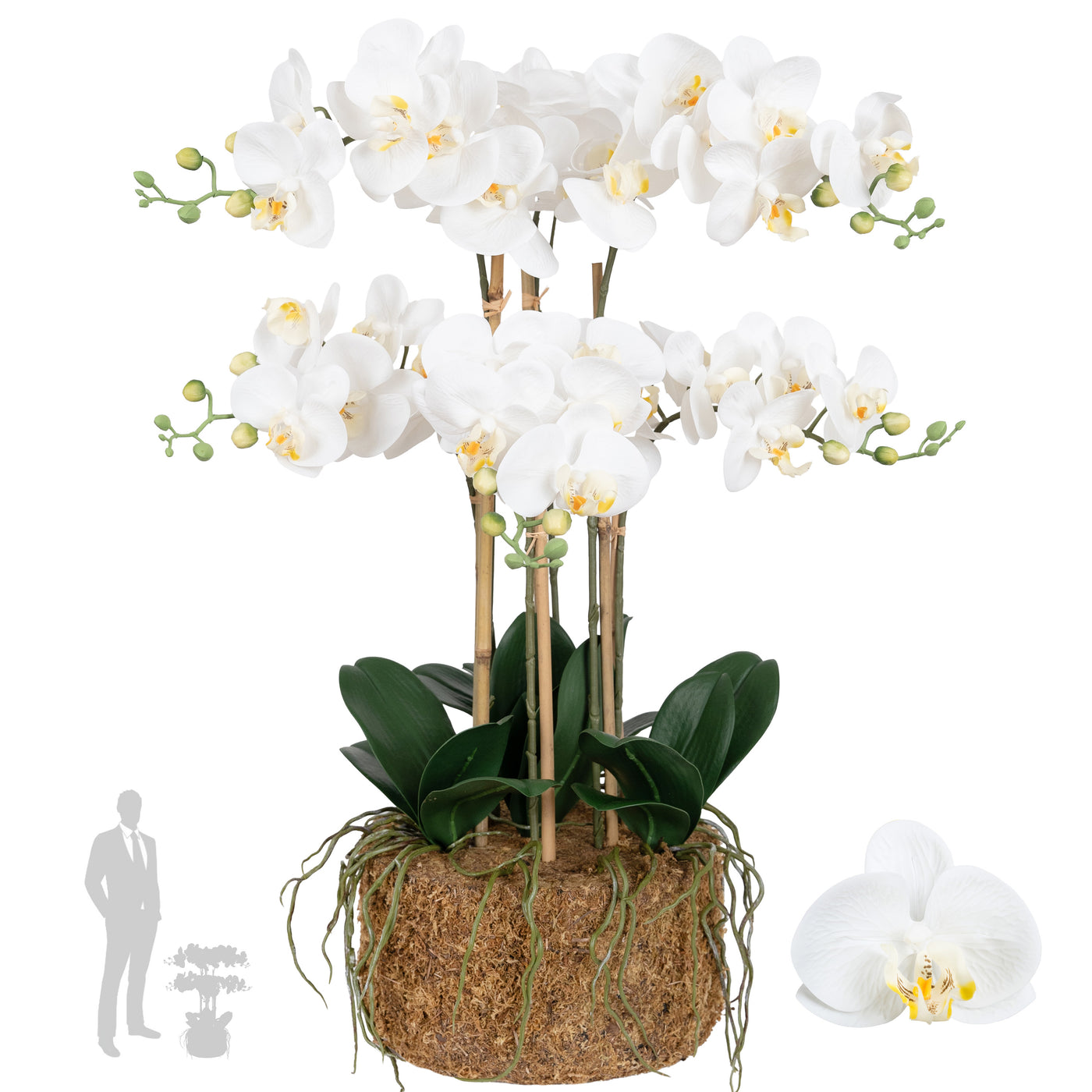 Orhidee artificiala alba cu aspect natural H72 cm cu 6 tulpini