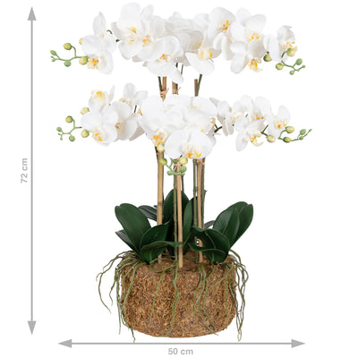 Orhidee artificiala alba cu aspect natural H72 cm cu 6 tulpini