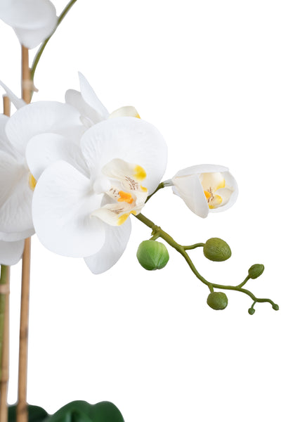 Orhidee artificiala alba cu aspect natural H76 cm cu 7 tulpini