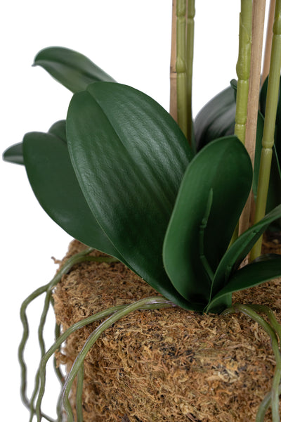 Orhidee artificiala alba cu aspect natural H76 cm cu 7 tulpini