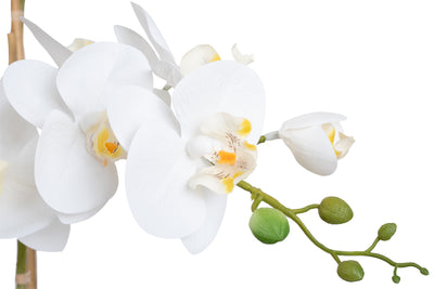 Orhidee artificiala alba cu aspect natural H76 cm cu 7 tulpini