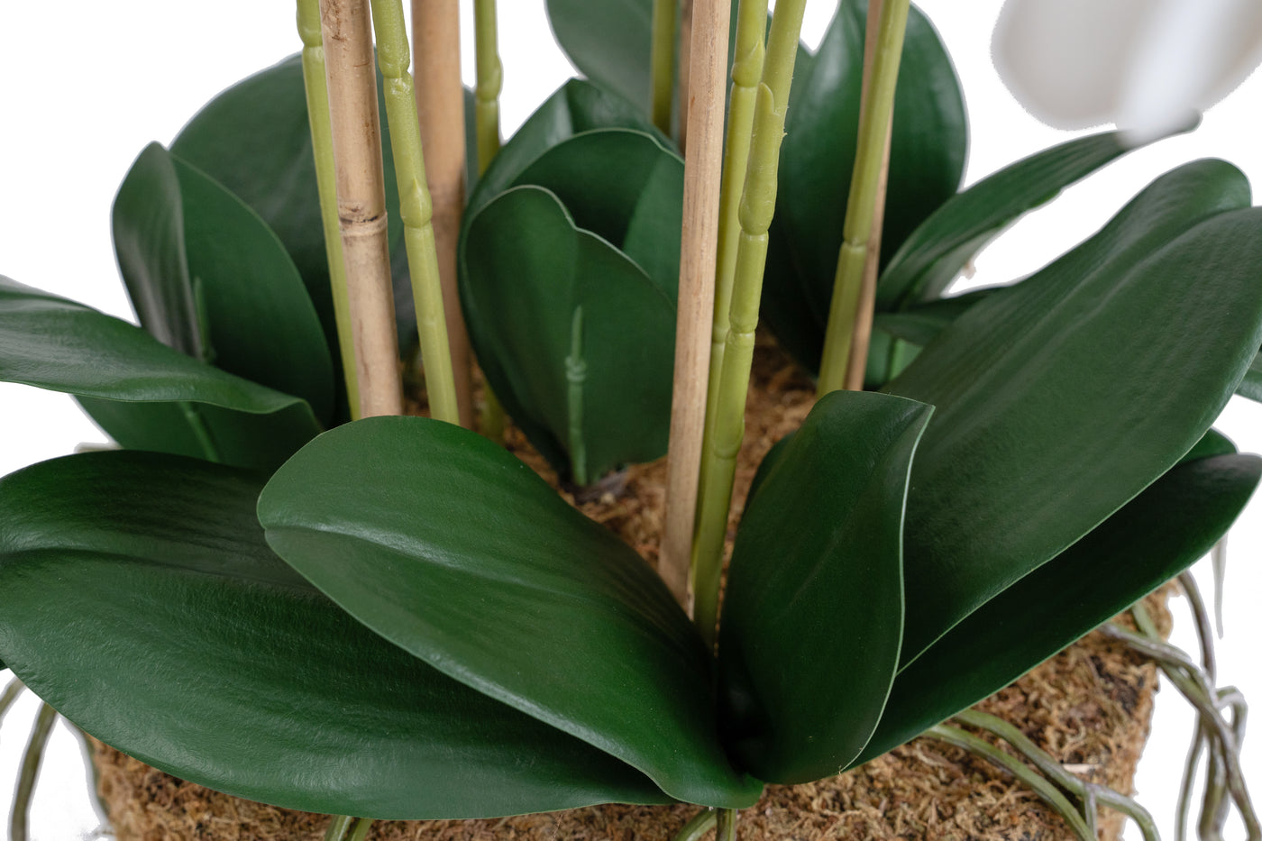 Orhidee artificiala alba cu aspect natural H76 cm cu 7 tulpini