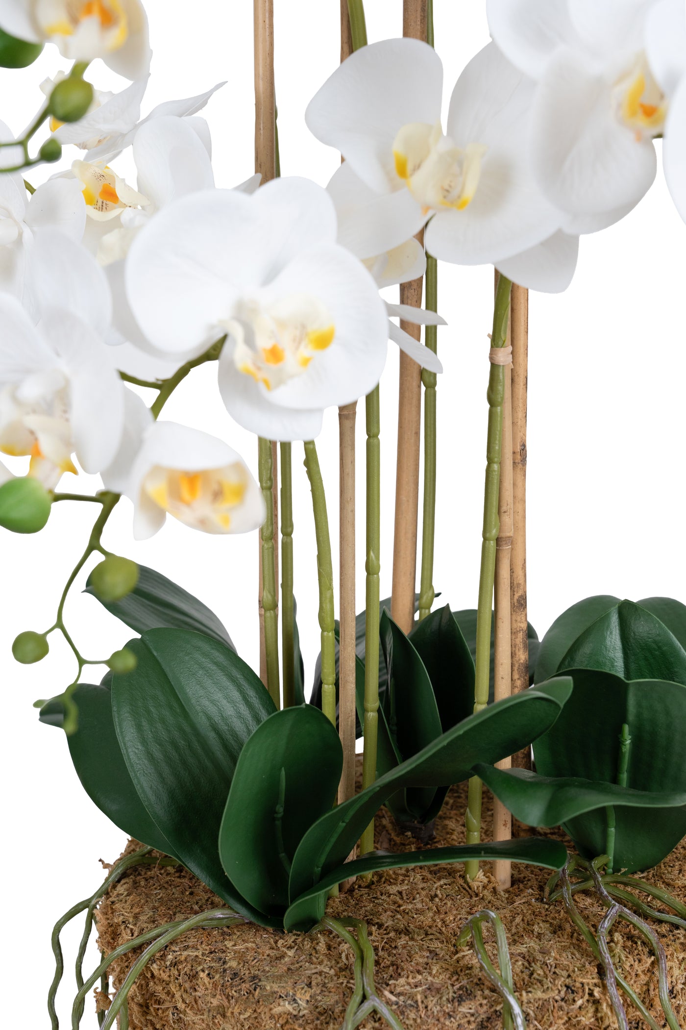 Orhidee artificiala alba cu aspect natural H76 cm cu 7 tulpini