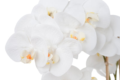 Orhidee artificiala alba cu aspect natural H80 cm cu 9 tulpini