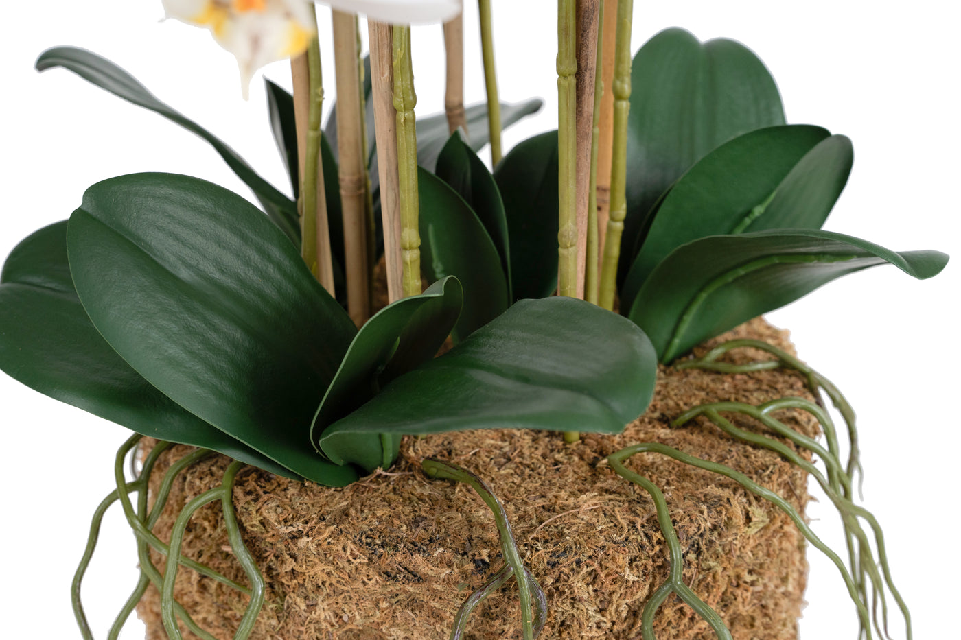 Orhidee artificiala alba cu aspect natural H80 cm cu 9 tulpini