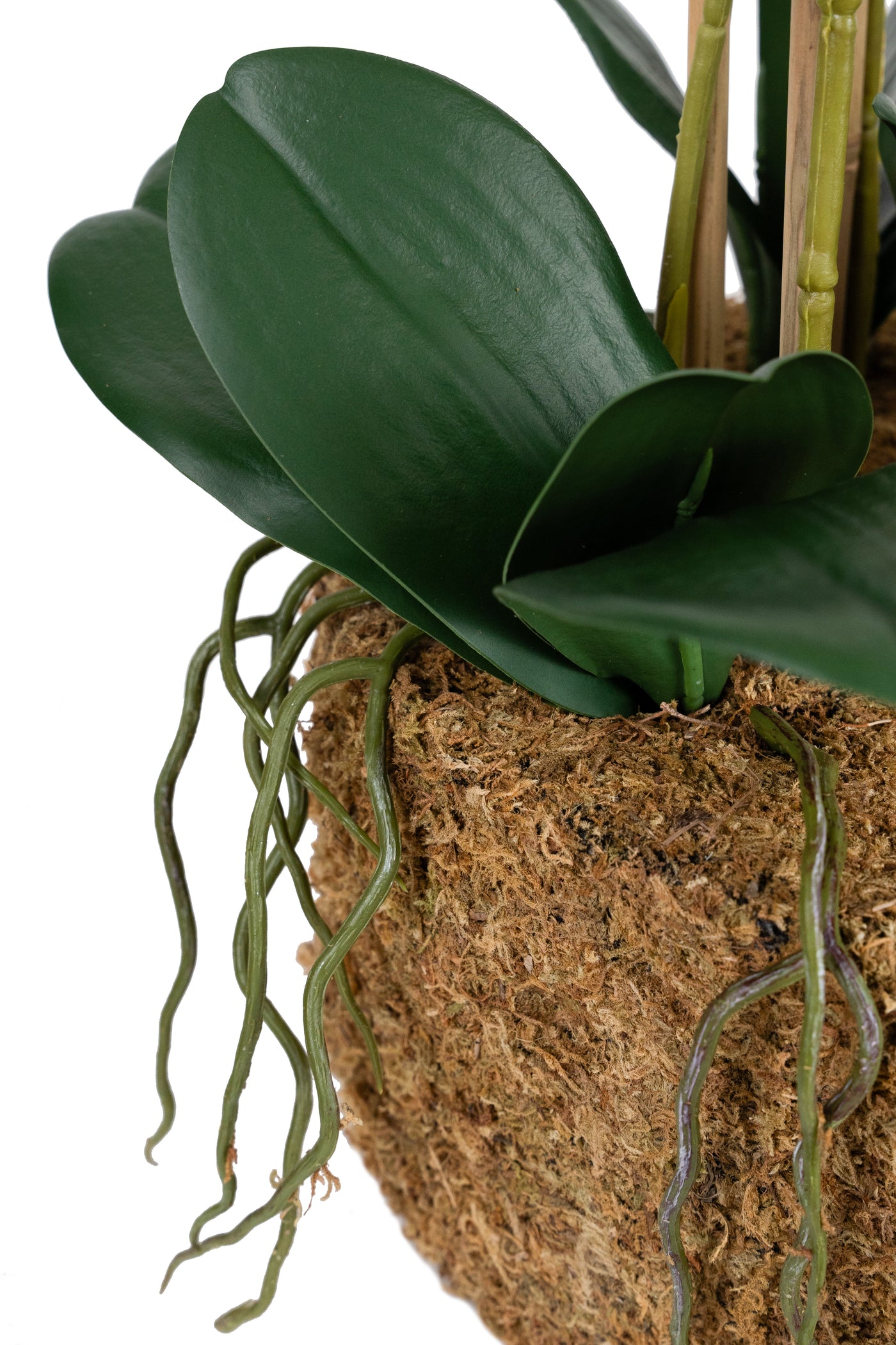 Orhidee artificiala alba cu aspect natural H80 cm cu 9 tulpini