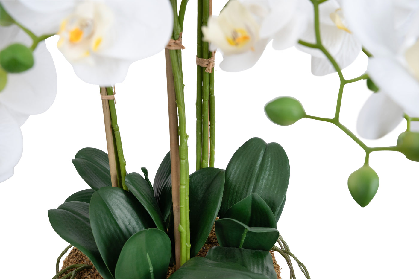 Orhidee artificiala alba cu aspect natural H80 cm cu 9 tulpini