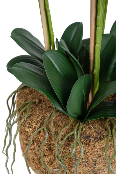 Orhidee artificiala alba cu aspect natural H80 cm cu 9 tulpini