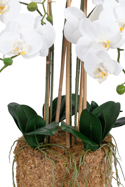 Orhidee artificiala alba cu aspect natural H85 cm cu 8 tulpini