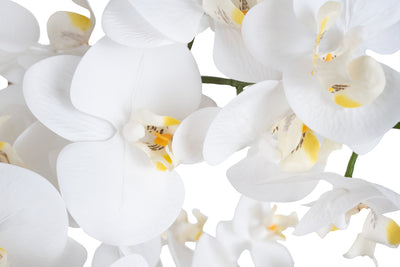 Orhidee artificiala alba cu aspect natural H85 cm cu 8 tulpini