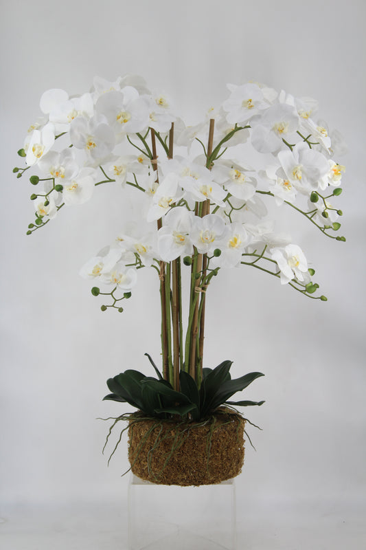 Orhidee artificiala alba cu aspect natural H90 cm cu 12 tulpini