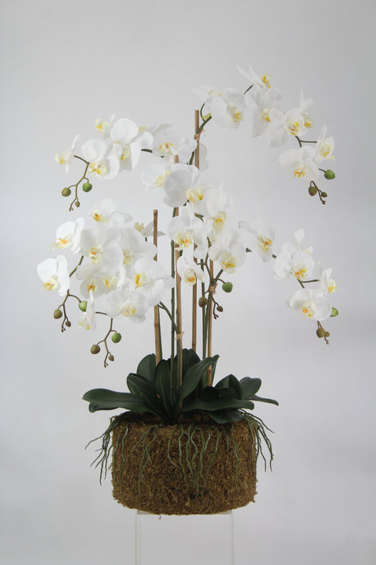 Orhidee artificiala alba cu aspect natural H90 cm cu 6 tulpini