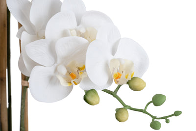 Orhidee artificiala alba cu aspect natural H90 cm cu 9 tulpini