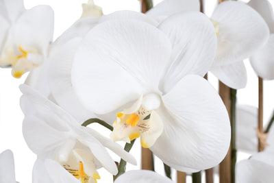 Orhidee artificiala alba cu aspect natural H90 cm cu 9 tulpini