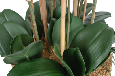 Orhidee artificiala alba cu aspect natural H90 cm cu 9 tulpini