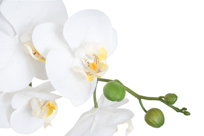 Orhidee artificiala alba cu aspect natural H95 cm cu 9 tulpini