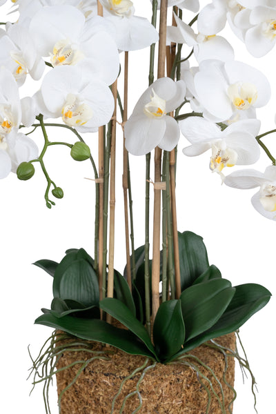 Orhidee artificiala alba cu aspect natural H95 cm cu 9 tulpini
