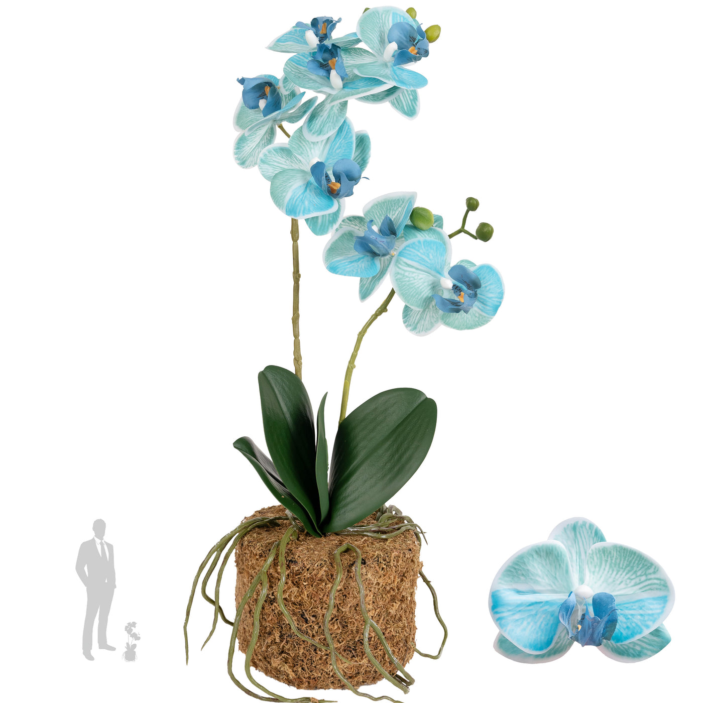 Orhidee artificiala albastru turquoise cu aspect natural H46 cm cu 2 tulpini