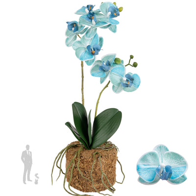 Orhidee artificiala albastru turquoise cu aspect natural H46 cm cu 2 tulpini