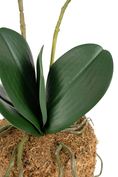 Orhidee artificiala albastru turquoise cu aspect natural H46 cm cu 2 tulpini