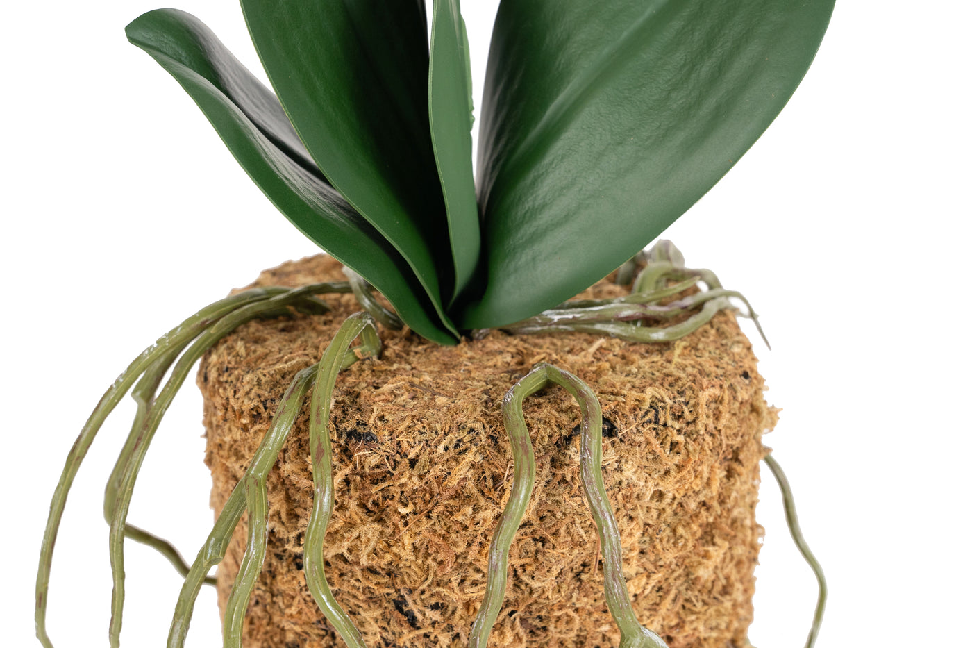 Orhidee artificiala albastru turquoise cu aspect natural H46 cm cu 2 tulpini