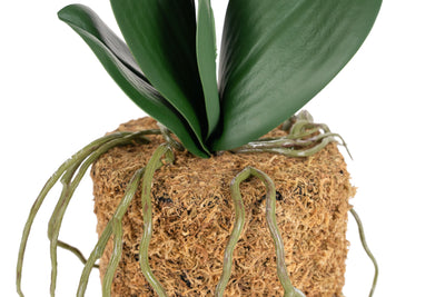 Orhidee artificiala albastru turquoise cu aspect natural H46 cm cu 2 tulpini