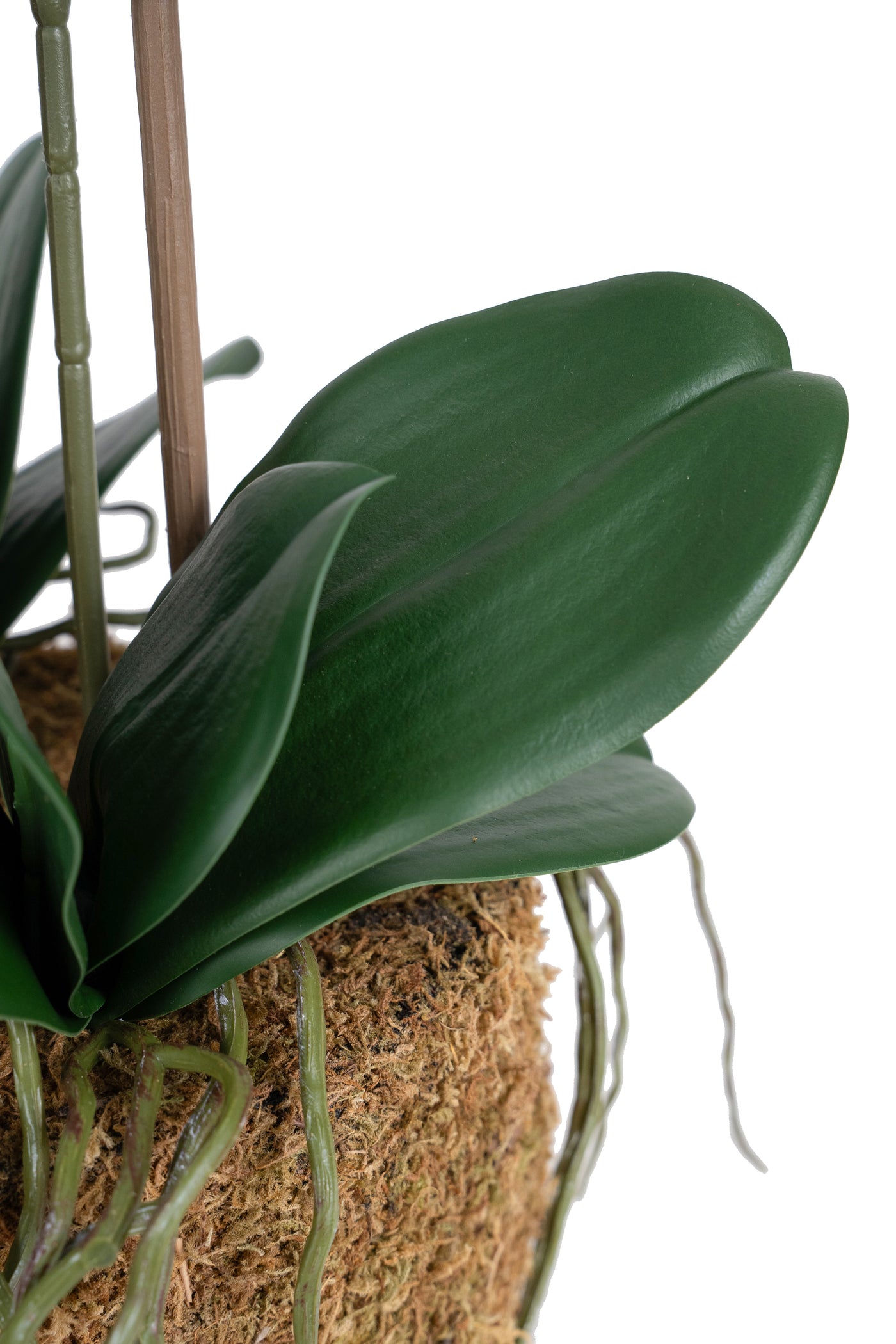 Orhidee artificiala albastru turquoise cu aspect natural H58 cm cu 3 tulpini