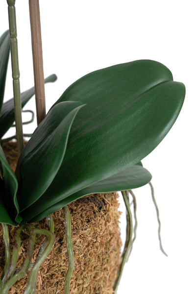 Orhidee artificiala albastru turquoise cu aspect natural H58 cm cu 3 tulpini