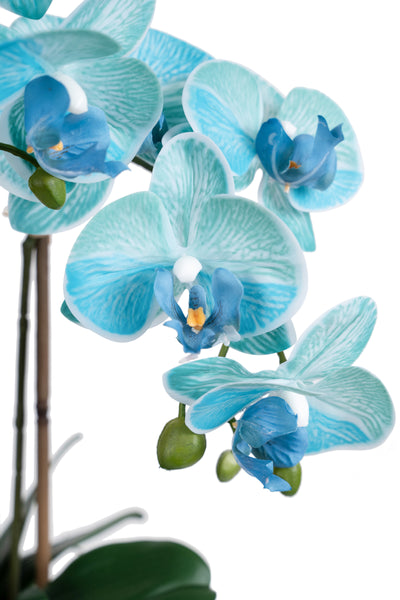 Orhidee artificiala albastru turquoise cu aspect natural H58 cm cu 3 tulpini