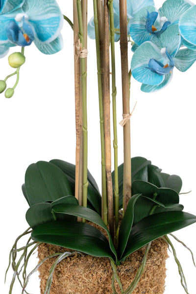 Orhidee artificiala albastru turquoise cu aspect natural H72 cm cu 6 tulpini