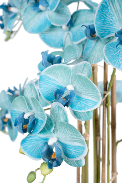 Orhidee artificiala albastru turquoise cu aspect natural H72 cm cu 6 tulpini