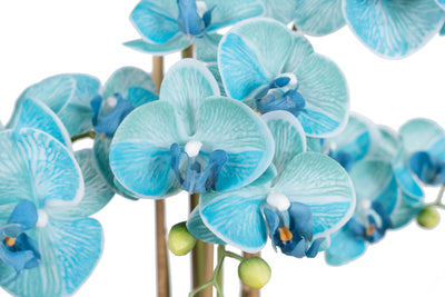 Orhidee artificiala albastru turquoise cu aspect natural H72 cm cu 6 tulpini