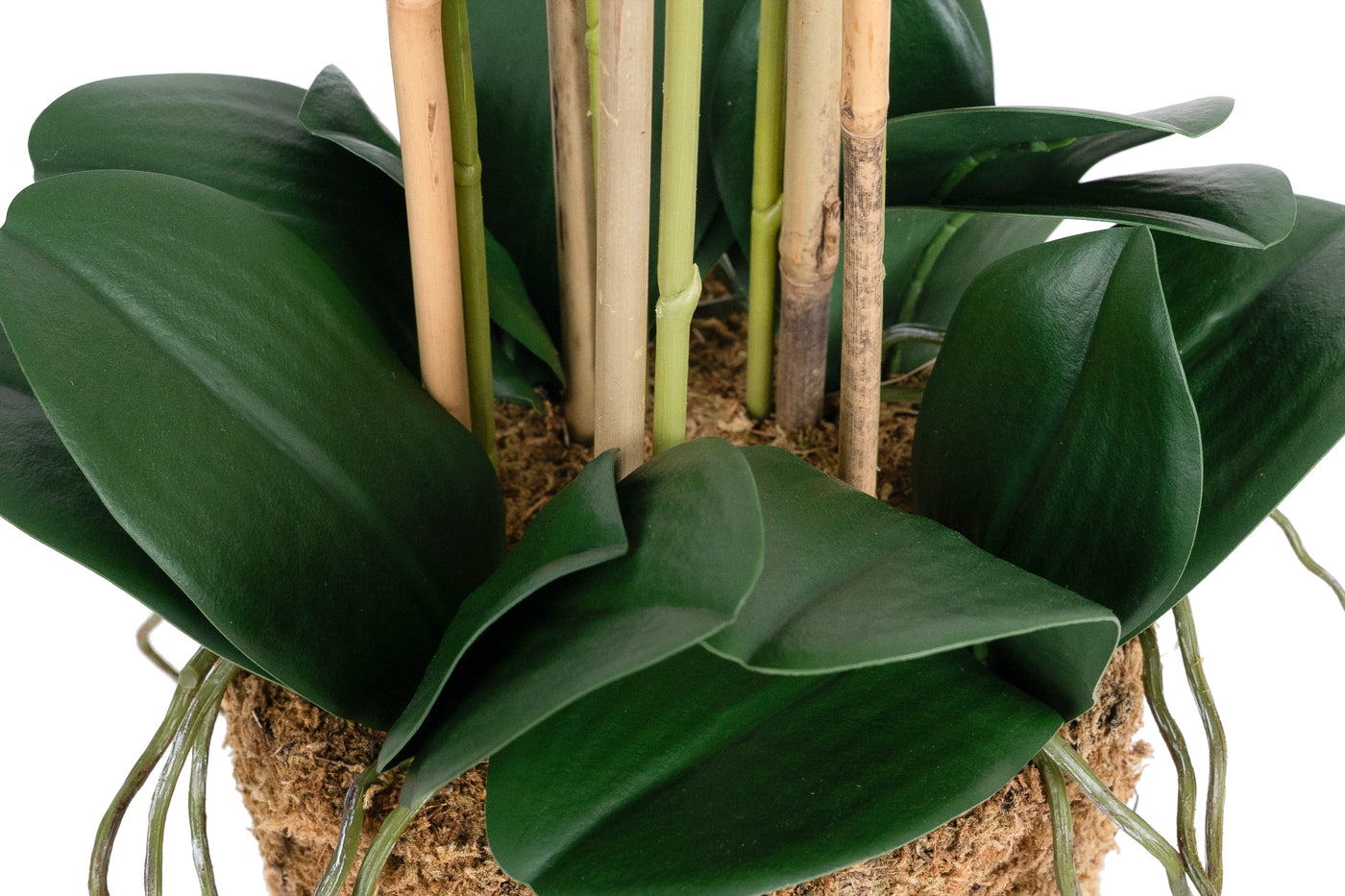 Orhidee artificiala albastru turquoise cu aspect natural H72 cm cu 6 tulpini