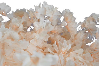 Orhidee artificiala crem H86cm