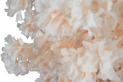 Orhidee artificiala crem H86cm