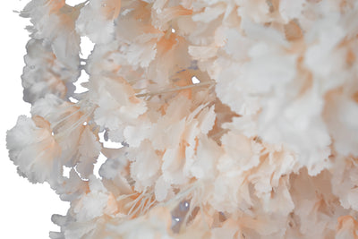 Orhidee artificiala crem H86cm