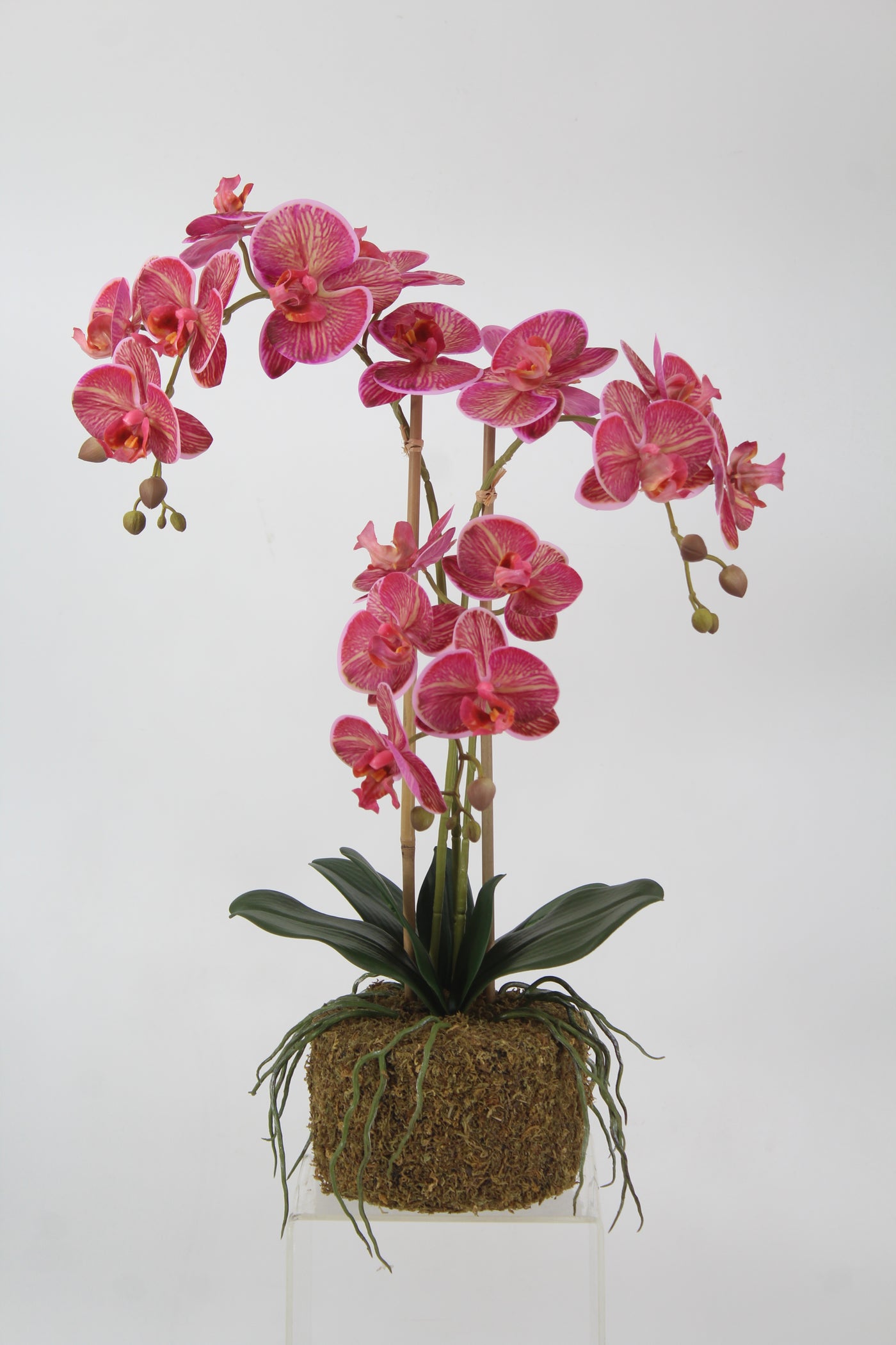 Orhidee artificiala cyclame cu aspect natural H64 cm cu 3 tulpini