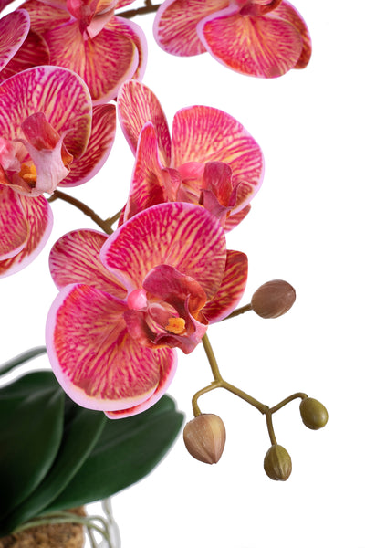 Orhidee artificiala cyclame cu aspect natural H66 cm cu 9 tulpini